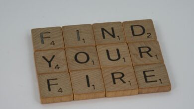 dataset findings summarized concisely