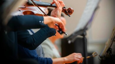 dataset interpretation notes provided