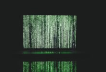 phone number identification request