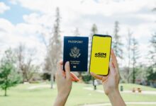 phone number identity search