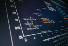 system analysis report summary